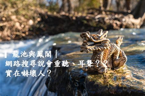 龍池意思|龍池與鳳閣